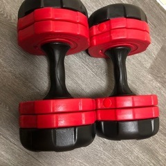 10kgx2