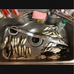 釣り仲間募集♬
