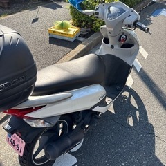 （自賠責付）HONDA DIO110 JF31 の画像