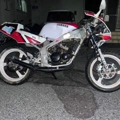 tzr50 2スト レーサーレプリカの画像