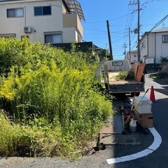 草刈り　キレイに仕上げます。
