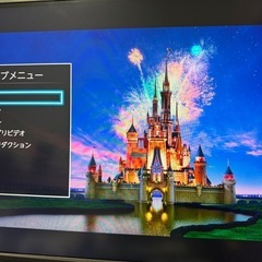 TOSHIBA REGZA 1TB ブルーレイレコーダー DBR-W1008相当 1TB  の画像
