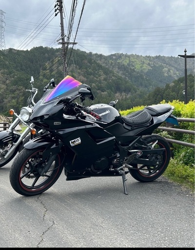 KAWASAKI ニンジャ250R 交換も○  