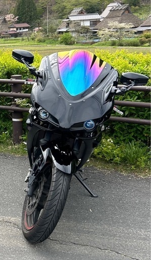 KAWASAKI ニンジャ250R 交換も○  