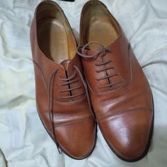 Salvatore Ferragamo　 STUDIO 　サルヴ...