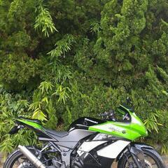 ■カワサキ Ninja 250R  ナンバー & 自賠責付き 整備&カスタム ニンジャ250R ニンジャ250  エンジン好調    の画像