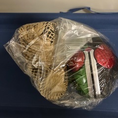 仮面ライダーフェイスフィギュア