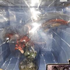 《８/17日まで出品のジモティー限定特価！！》愛犬の治療費為、ご協力をお願い申し上げます。　モンスターハンター　火竜　リオレウス　フィギュアビルダー　クリエイターズモデルの画像
