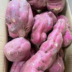 加工用　紅あずま　　大きいサイズ規格外　5KG  700¥の画像