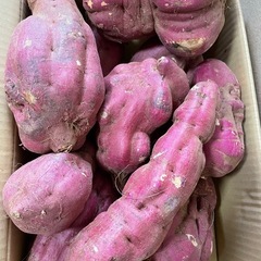 加工用　紅あずま　　大きいサイズ規格外　5KG  700¥
