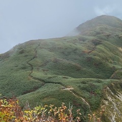 11月3日紅葉登山🍁で登り納め - 友達