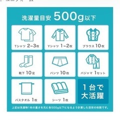 バケツ型洗濯機の画像