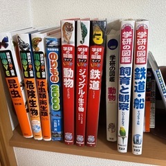 図鑑