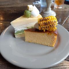 [10月19日] 美味しいチーズケーキ食べに行きませんか?