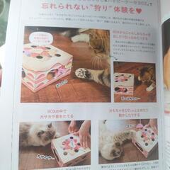 ① 猫のおもちゃ