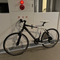 【新古車！】UNIVEGA TRRENO300 3×8s サイズ55の画像