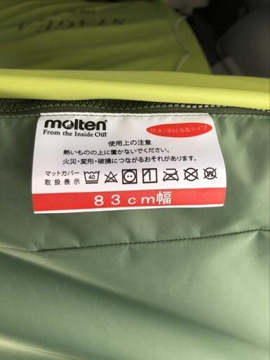 介護ベッド ステージア 体圧分散性能 除圧性能 高機能エアマットレス 【モルテン】