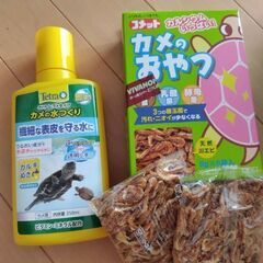 カメ飼育セットの画像