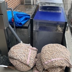 大型水槽の画像
