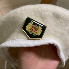 ももクロ　FC限定　グッズ　ベレー帽　パスケース　バッチ　箱推しワッペンの画像