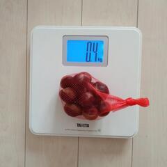 取引中　好評も今年最後　栗　生栗　400gの画像