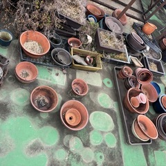 【無料】植木鉢 好きなだけお譲りいたします