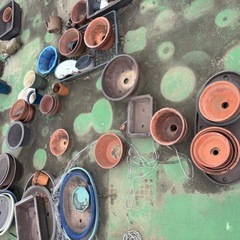 【無料】植木鉢 好きなだけお譲りいたしますの画像