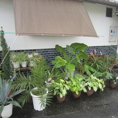 ★２０２4年：後期OPENいたしました！最終価格にて放出！の画像