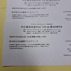 栃木日光アイスバックス　20日試合チケット