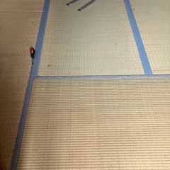 畳30枚以上差し上げます。　※11/23日まで〜※