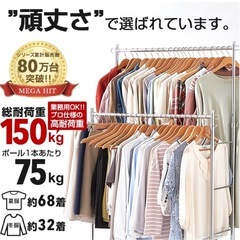 ハンガーラック 2段 シルバーの画像