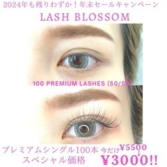 🎁マツエク特別価格！年末キャンペーン🎁