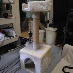 キャットタワー