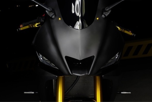 YAMAHA R25 2019