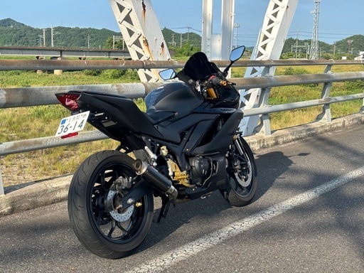 YAMAHA R25 2019