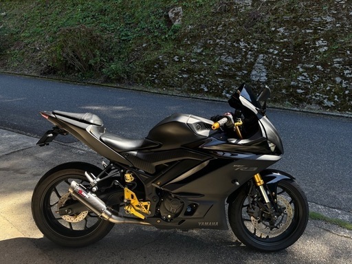 YAMAHA R25 2019