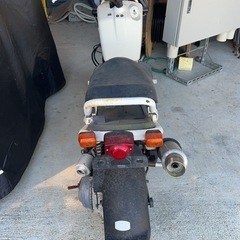 ホンダズーマーの画像