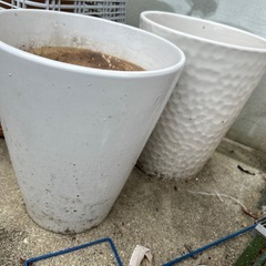植木鉢　2つ　胡蝶蘭が入ってました