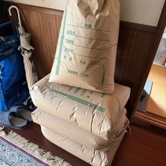 令和5年度 きぬむすめ （玄米）