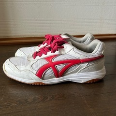 moonstar スニーカー 26.0cmの画像