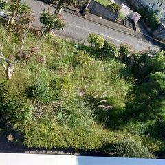 草刈り依頼！