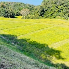 家庭菜園用　貸し農園【五色町都志角川】の画像