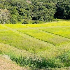 家庭菜園用　貸し農園【五色町都志角川】