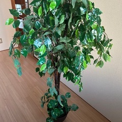 ニトリ　造花の画像