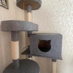 【お取引中】キャットタワー