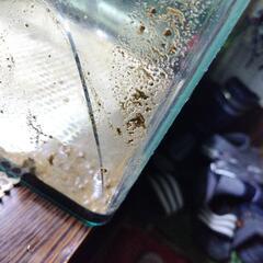 水槽ひびあります。の画像