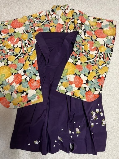 小学校　卒業式　袴　正絹小振り袖　長襦袢の3点セット