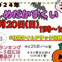 【１０/２０（日）】メダカ掬いイベント