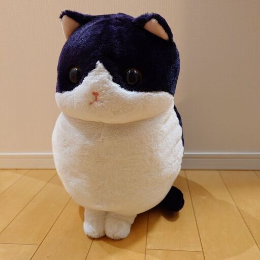 ハチワレねこのモリー　大　BIG 白黒猫