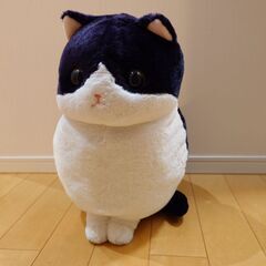 ハチワレねこのモリー　大　BIG 白黒猫